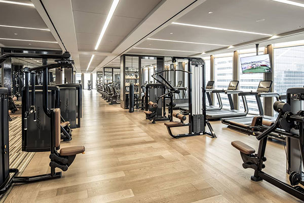 La ciencia orienta el fitness y disfruta de una vida saludable